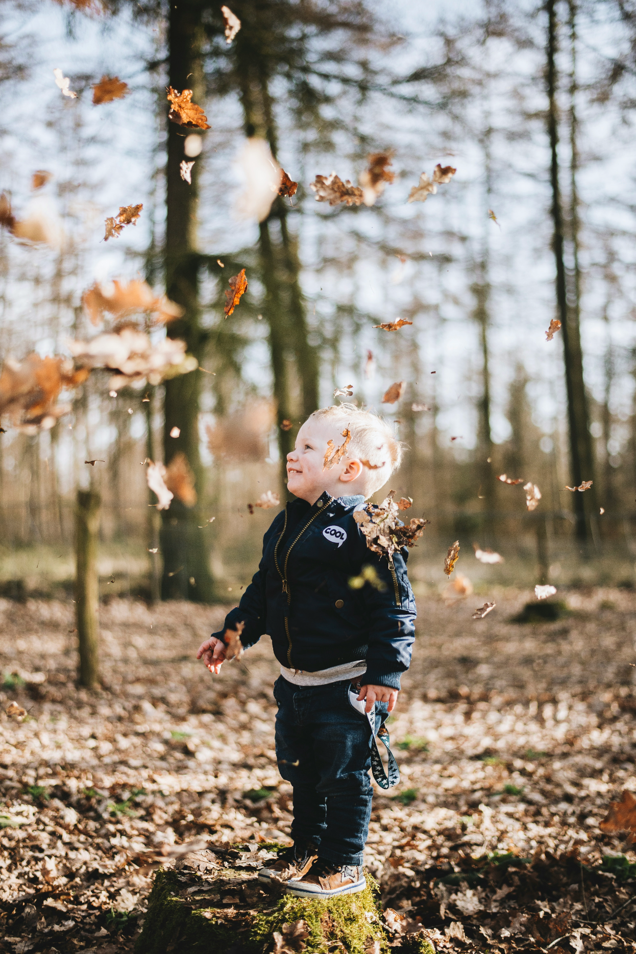 De paseo por el otoño: rastrear y jugar en la naturaleza