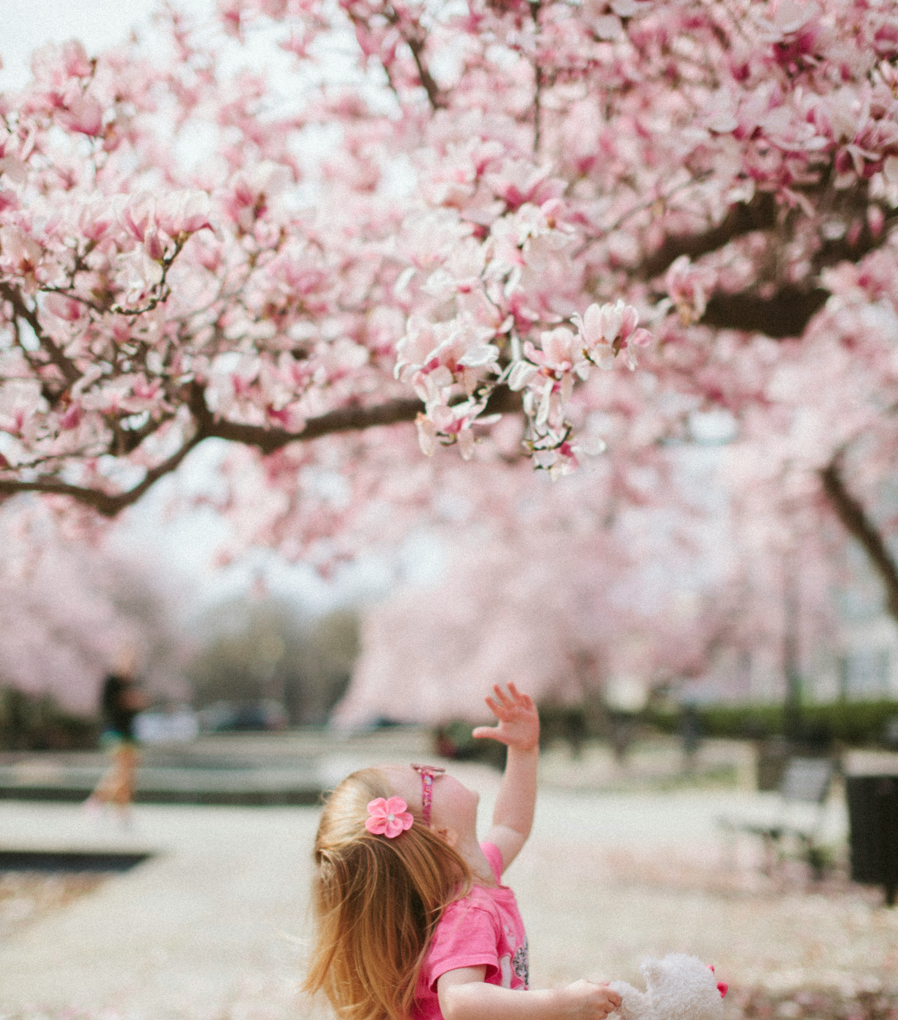 5 divertidas actividades de primavera para niños pequeños