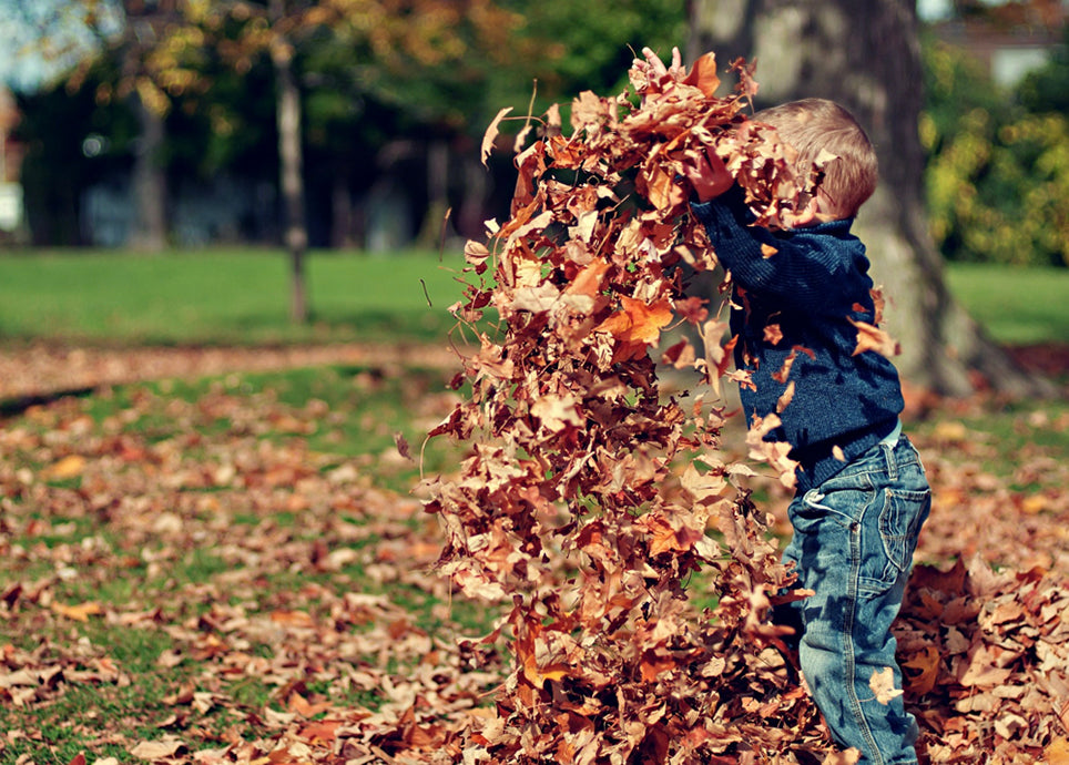 Otoño con los más pequeños